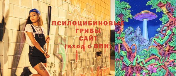 крисы Нефтегорск