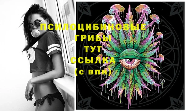 сатива Алексеевка