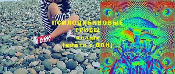 сатива Алексеевка