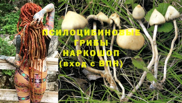 крисы Абдулино