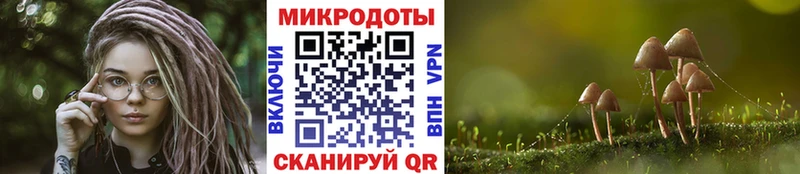 MEGA маркетплейс купить наркотики цена Соликамск Галлюциногенные грибы MAGIC MUSHROOMS